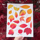 Autumn Leaves Print Watercolor