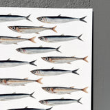 Little Fish Print Watercolor - Anchovies and Sardines