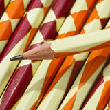 Blackwing Native American Special Edition Pencils 12 Pack