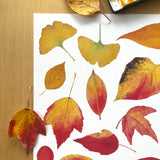 Autumn Leaves Print Watercolor