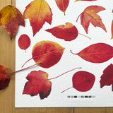 Autumn Leaves Print Watercolor