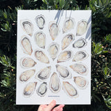 Oyster Print Watercolor