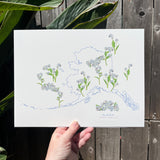Alaska Forget-me-not State Flower Print