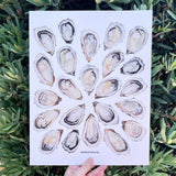Oyster Print Watercolor