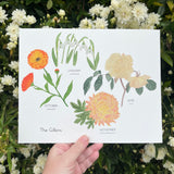 Custom Watercolor Birth Flower Print