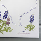 Texas Bluebonnet State Flower Print