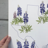 Texas Bluebonnet State Flower Print