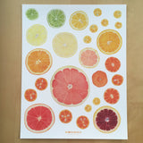 Citrus Giclee Print