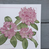 Washington State Print Rhododendrons Watercolor