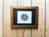 Poppyseed Bagel Watercolor Original Framed Painting