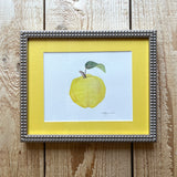 Quince Watercolor Original Framed Painting