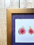 Figs Watercolor Original Framed Painting