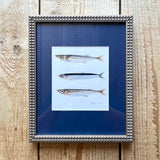 Little Fish Sardine Anchovy Watercolor Original Framed Painting
