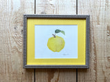 Quince Watercolor Original Framed Painting