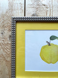 Quince Watercolor Original Framed Painting