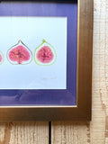 Figs Watercolor Original Framed Painting