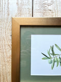 Olive Branch Watercolor Original Framed Painting