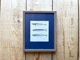 Little Fish Sardine Anchovy Watercolor Original Framed Painting