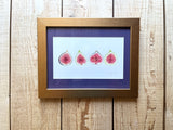 Figs Watercolor Original Framed Painting