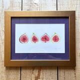 Figs Watercolor Original Framed Painting