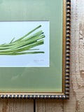 Scallion Green Onion Watercolor Original Framed Painting