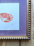 Spot Prawn Shrimp Watercolor Original Framed Painting