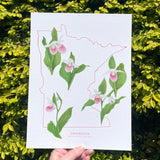 Minnesota State Flower Print