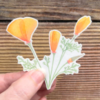 Temporary Tattoo - California Poppy