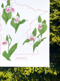 Minnesota State Flower Print
