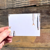 Watercolor Place Cards - Little Fish Sardines & Anchovies