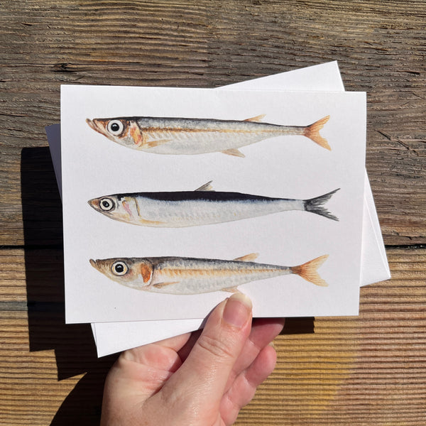 Little Fish Anchovies Greeting Card