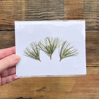 Sprigs Evergreen greeting card