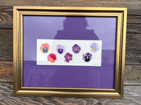 Pansies Watercolor Original Framed Painting