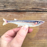 Temporary Tattoo - Sardine Fish