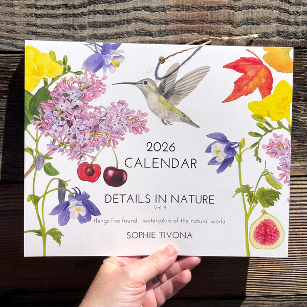 2026 Calendar - Details in Nature // Things I've Found