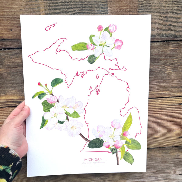 Michigan Apple Blossom State Flower Print