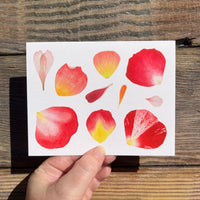 Petals Card Set