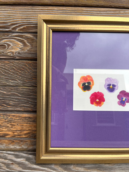Pansies Watercolor Original Framed Painting