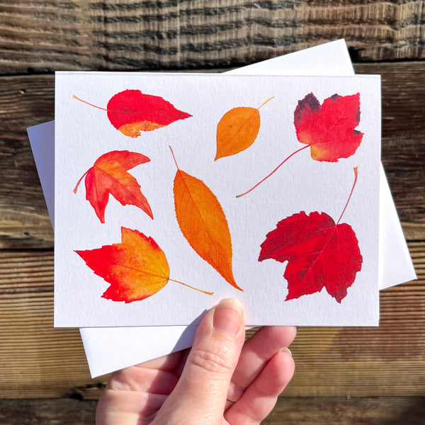 Autumn Leaves Greeting Card