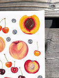 Stone Fruit Summer Giclee Print