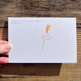 Resistance Postcard
