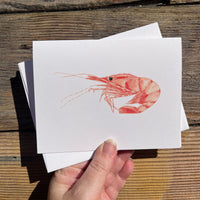 Spot Prawn Greeting Card