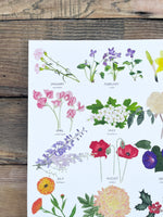 Birth Flowers Print