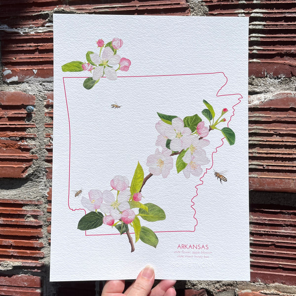 Arkansas Apple Blossom State Flower Print