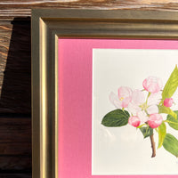 Apple Blossom Watercolor Original Framed Painting