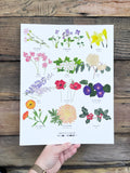 Birth Flowers Print