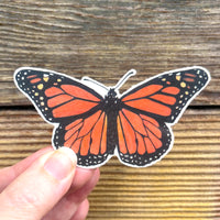 Temporary Tattoo - Monarch
