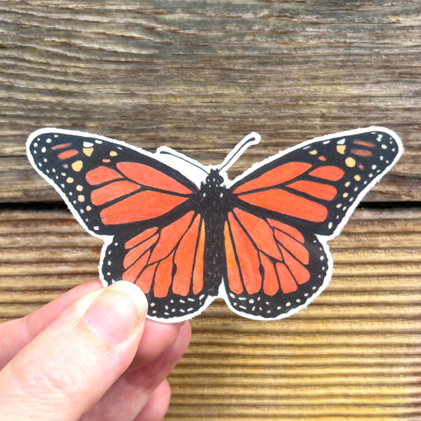Temporary Tattoo - Monarch