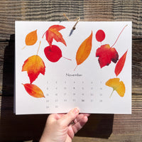 2026 Calendar - Details in Nature // Things I've Found