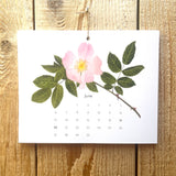 2027 Calendar - Details in Nature // Things I've Found